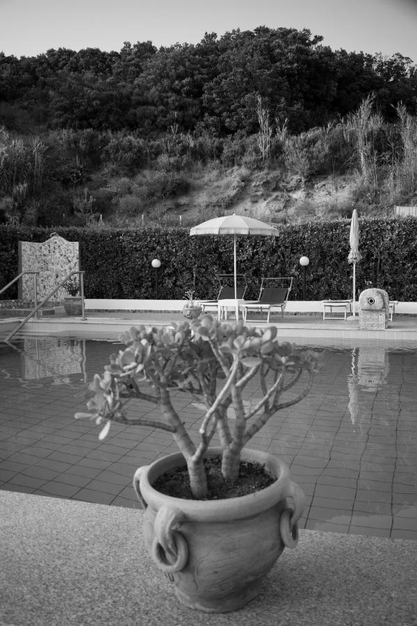 Hotel Villa Rita Forio di Ischia エクステリア 写真